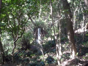 厳かな「山ノ神」の森の一つ